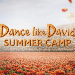 The text "Dance Like David Summer Camp" appears over a field of red flowers, with a blurred city and sky as the backdrop. The lettering has a textured, golden look.